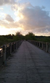 13423899_10206741318640863_20981142957496268_n