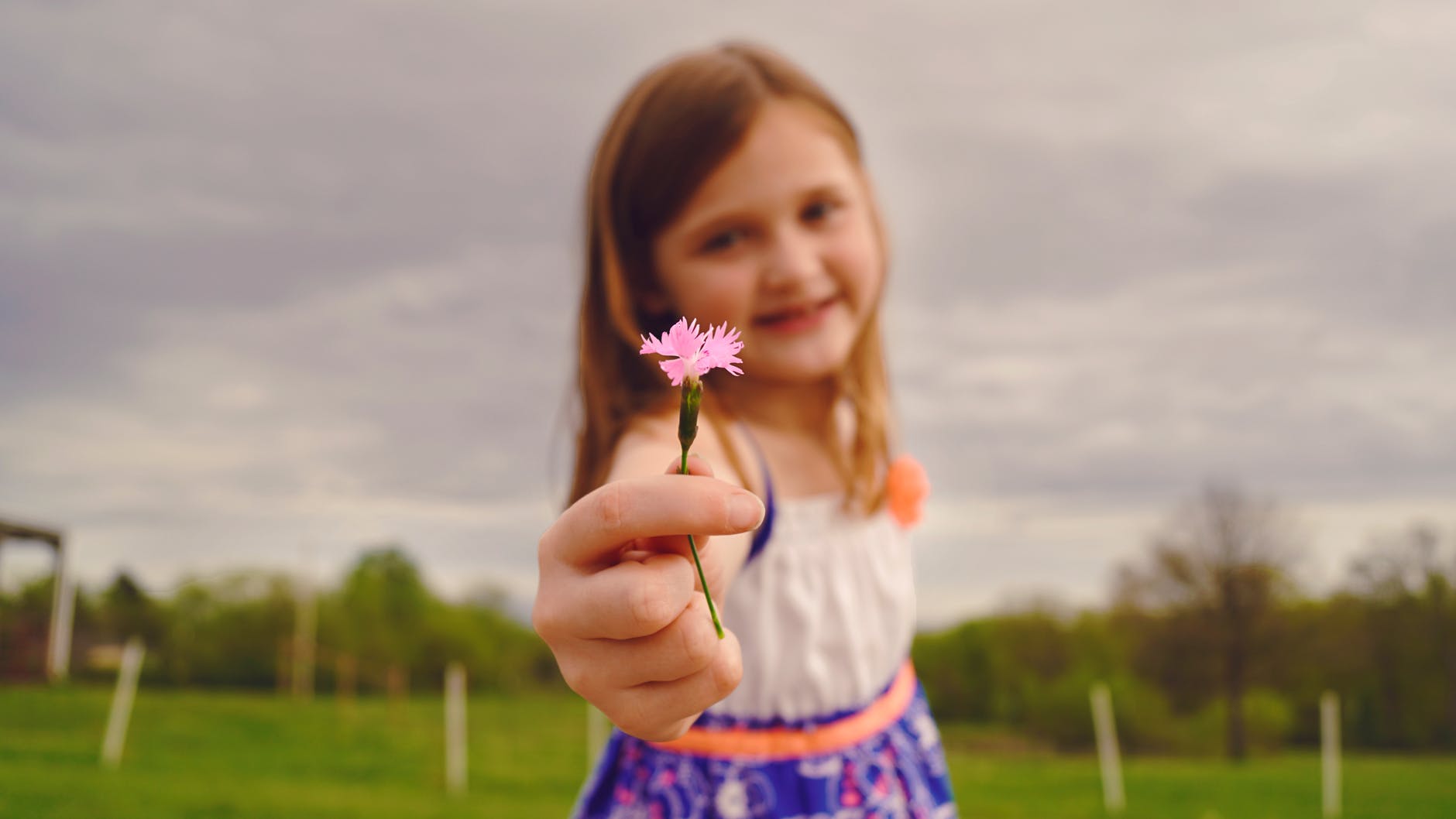 selective focus photography of girl holding pink flower