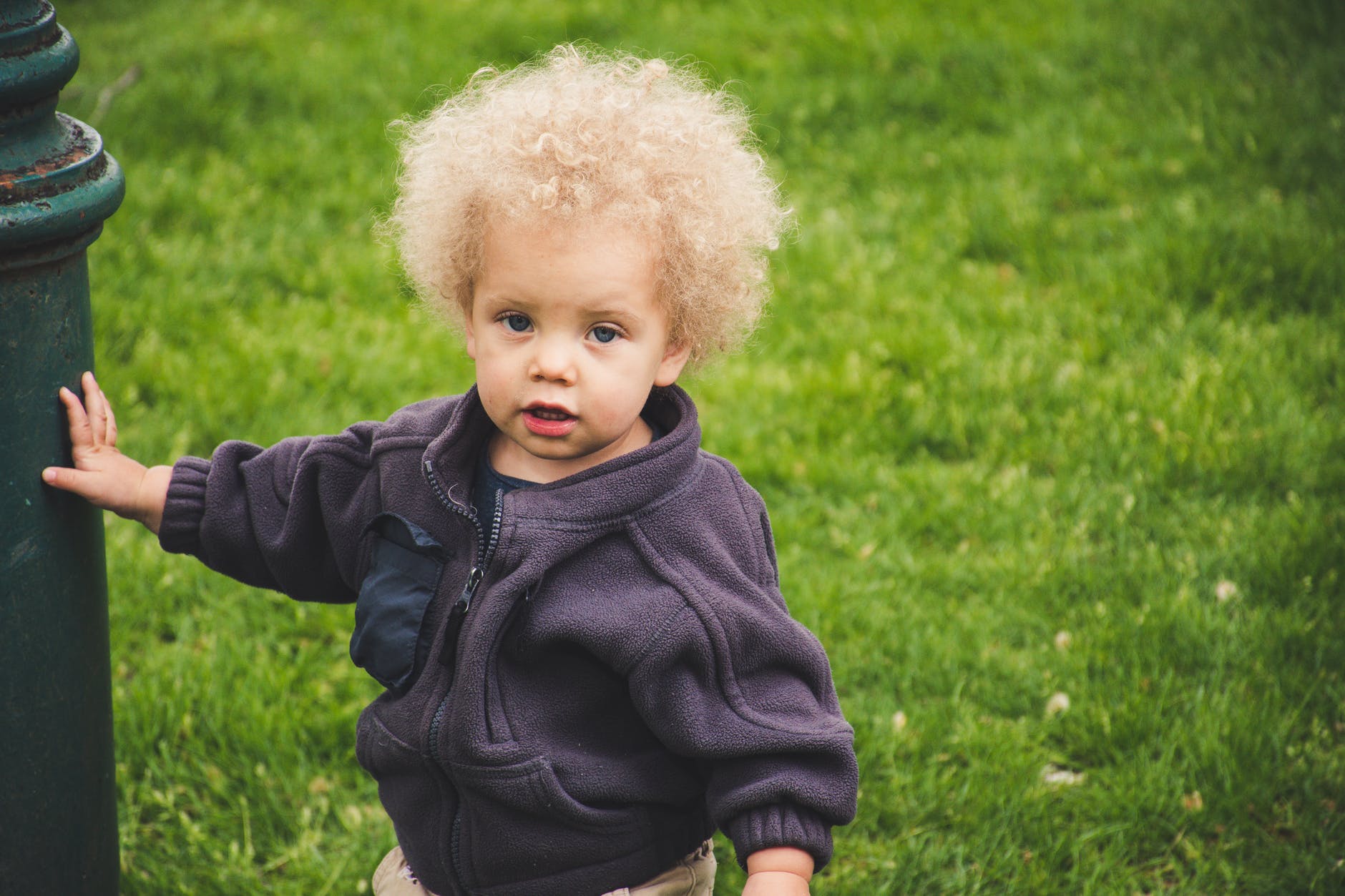 photo of toddler wearing jacket
