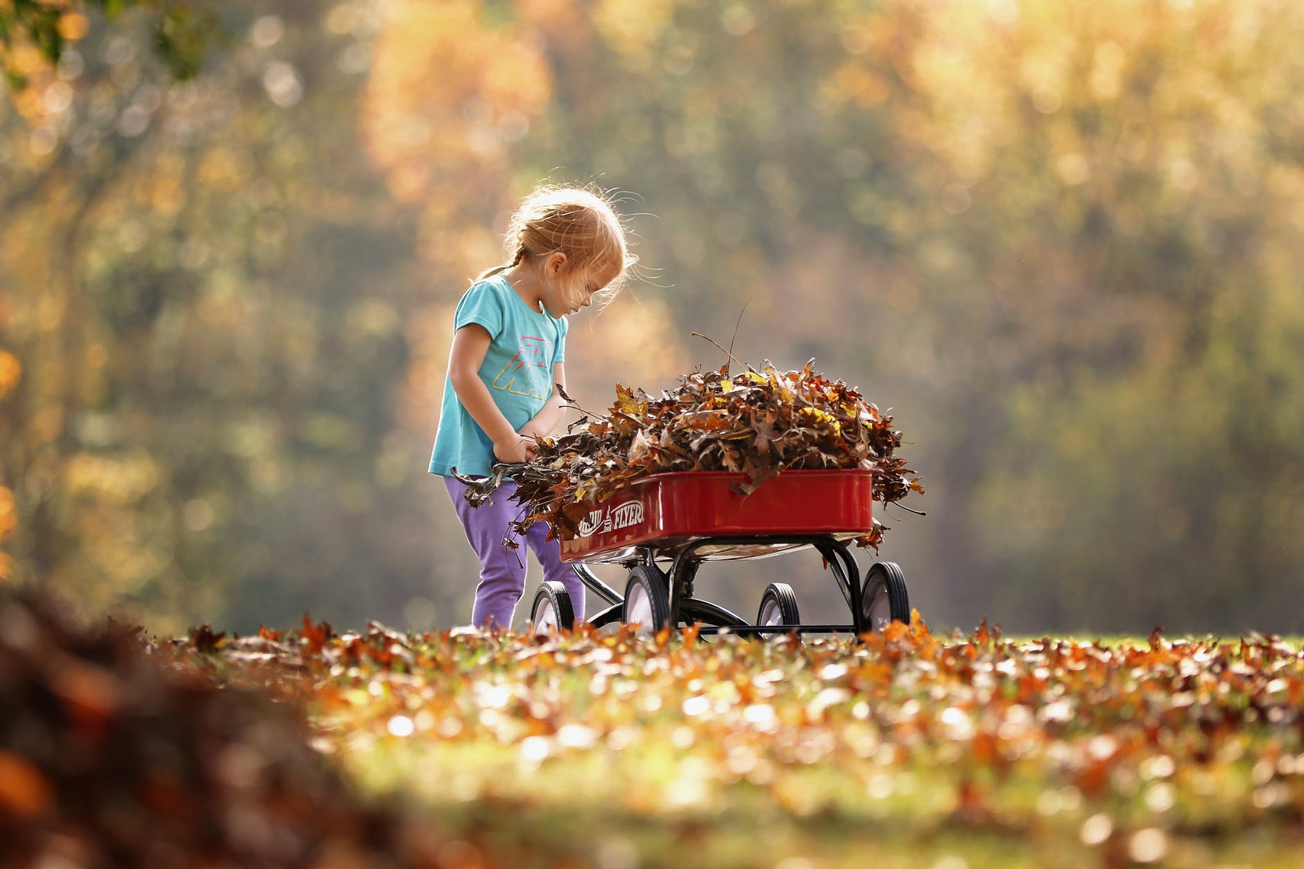photography of child pushing the wagon